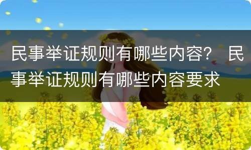 民事举证规则有哪些内容？ 民事举证规则有哪些内容要求