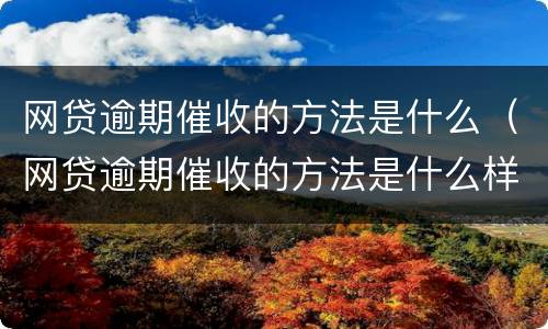 网贷逾期催收的方法是什么（网贷逾期催收的方法是什么样的）