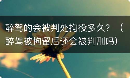 醉驾的会被判处拘役多久？（醉驾被拘留后还会被判刑吗）