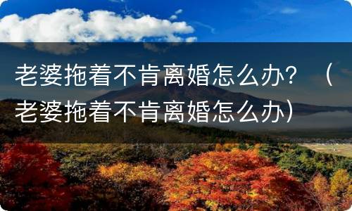 老婆拖着不肯离婚怎么办？（老婆拖着不肯离婚怎么办）