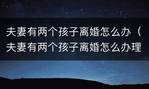夫妻有两个孩子离婚怎么办（夫妻有两个孩子离婚怎么办理手续）