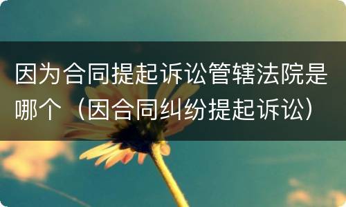 因为合同提起诉讼管辖法院是哪个（因合同纠纷提起诉讼）