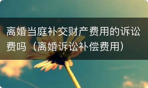 离婚当庭补交财产费用的诉讼费吗（离婚诉讼补偿费用）