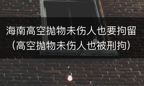 海南高空抛物未伤人也要拘留（高空抛物未伤人也被刑拘）