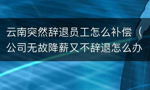 云南突然辞退员工怎么补偿（公司无故降薪又不辞退怎么办）
