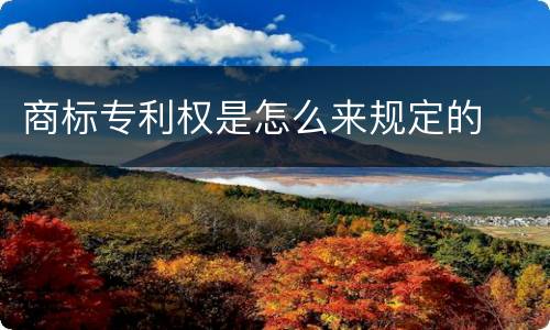 商标专利权是怎么来规定的