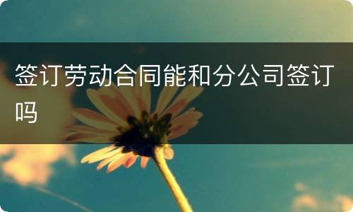 签订劳动合同能和分公司签订吗