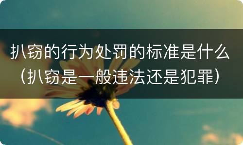 扒窃的行为处罚的标准是什么（扒窃是一般违法还是犯罪）