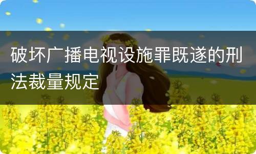 破坏广播电视设施罪既遂的刑法裁量规定