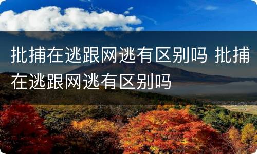 批捕在逃跟网逃有区别吗 批捕在逃跟网逃有区别吗