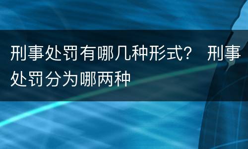 刑事处罚有哪几种形式？ 刑事处罚分为哪两种