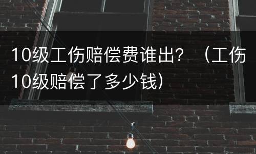 10级工伤赔偿费谁出？（工伤10级赔偿了多少钱）