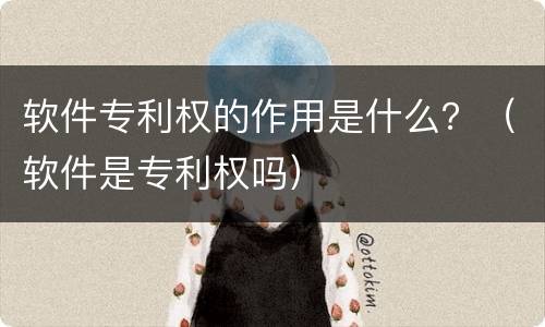 软件专利权的作用是什么？（软件是专利权吗）