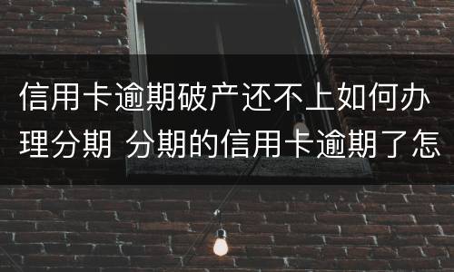 信用卡逾期破产还不上如何办理分期 分期的信用卡逾期了怎么办