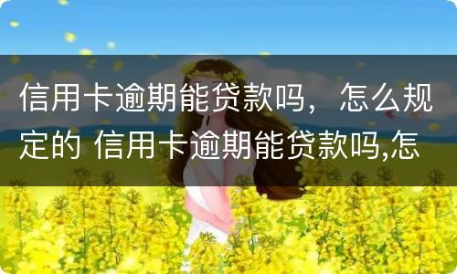 信用卡逾期能贷款吗，怎么规定的 信用卡逾期能贷款吗,怎么规定的利息