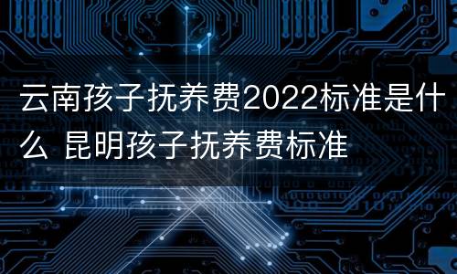 云南孩子抚养费2022标准是什么 昆明孩子抚养费标准