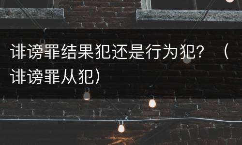 诽谤罪结果犯还是行为犯？（诽谤罪从犯）