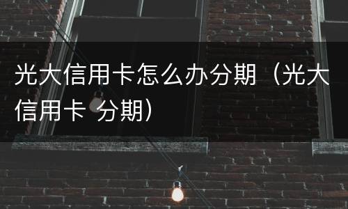 光大信用卡怎么办分期（光大信用卡 分期）