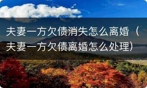 夫妻一方欠债消失怎么离婚（夫妻一方欠债离婚怎么处理）