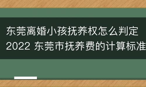 东莞离婚小孩抚养权怎么判定2022 东莞市抚养费的计算标准