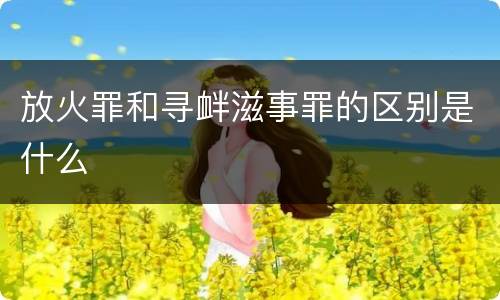 放火罪和寻衅滋事罪的区别是什么
