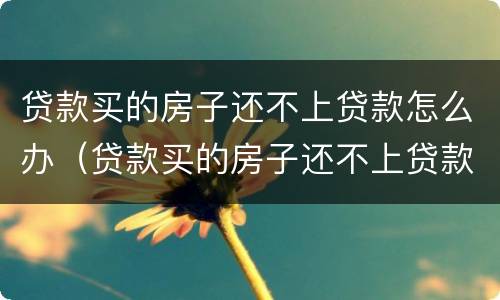 贷款买的房子还不上贷款怎么办（贷款买的房子还不上贷款怎么办呢）