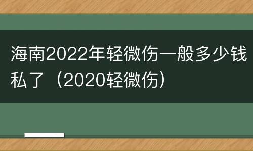 海南2022年轻微伤一般多少钱私了（2020轻微伤）