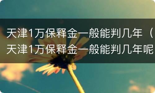 天津1万保释金一般能判几年（天津1万保释金一般能判几年呢）