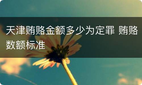 天津贿赂金额多少为定罪 贿赂数额标准
