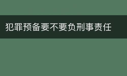 犯罪预备要不要负刑事责任