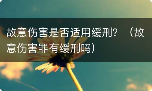 故意伤害是否适用缓刑？（故意伤害罪有缓刑吗）