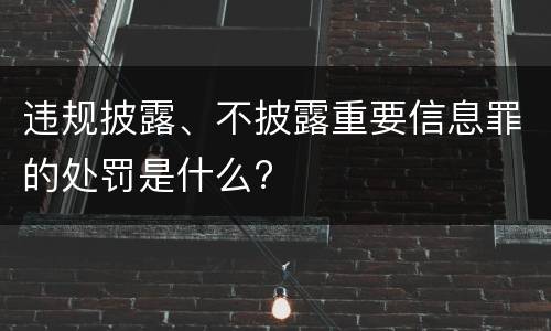 违规披露、不披露重要信息罪的处罚是什么?