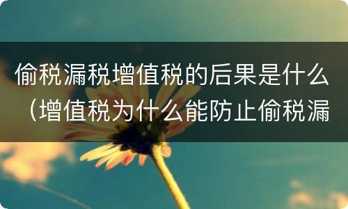 偷税漏税增值税的后果是什么（增值税为什么能防止偷税漏税）