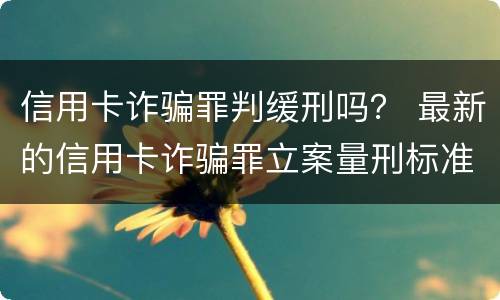 信用卡诈骗罪判缓刑吗？ 最新的信用卡诈骗罪立案量刑标准