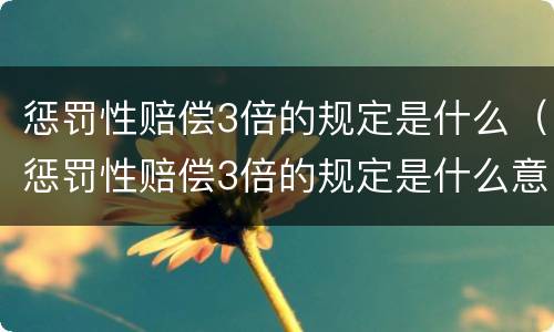 惩罚性赔偿3倍的规定是什么（惩罚性赔偿3倍的规定是什么意思）