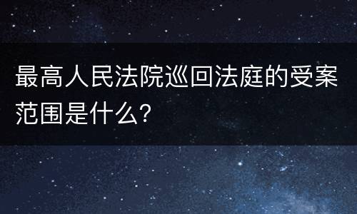 最高人民法院巡回法庭的受案范围是什么？