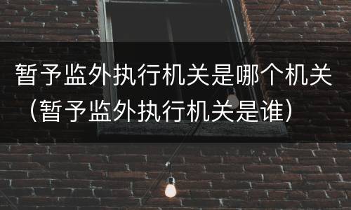 暂予监外执行机关是哪个机关（暂予监外执行机关是谁）