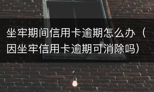 坐牢期间信用卡逾期怎么办（因坐牢信用卡逾期可消除吗）