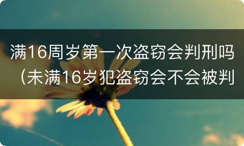 满16周岁第一次盗窃会判刑吗（未满16岁犯盗窃会不会被判刑）