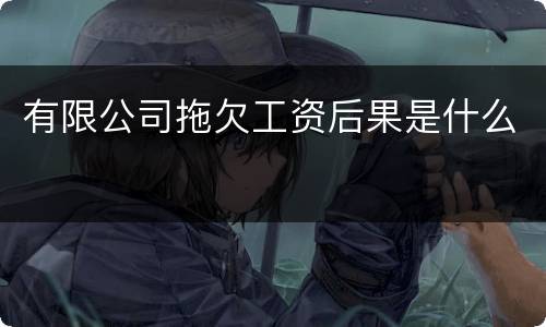 有限公司拖欠工资后果是什么