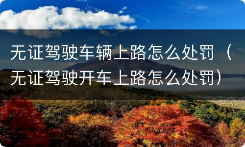 无证驾驶车辆上路怎么处罚（无证驾驶开车上路怎么处罚）