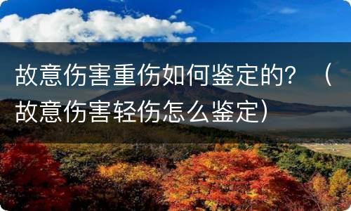 故意伤害重伤如何鉴定的？（故意伤害轻伤怎么鉴定）