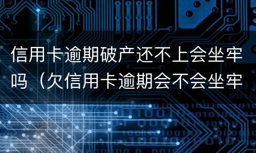 信用卡逾期破产还不上会坐牢吗（欠信用卡逾期会不会坐牢）