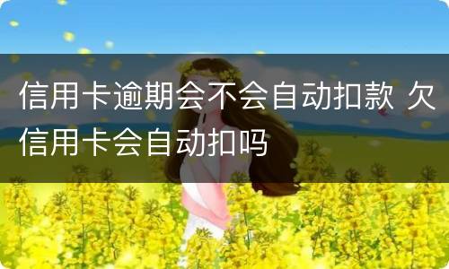信用卡逾期会不会自动扣款 欠信用卡会自动扣吗
