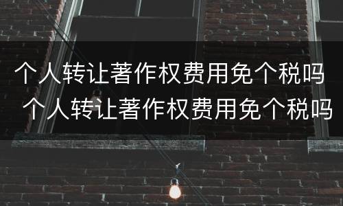 个人转让著作权费用免个税吗 个人转让著作权费用免个税吗