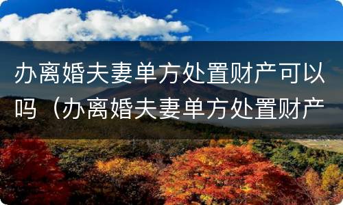 办离婚夫妻单方处置财产可以吗（办离婚夫妻单方处置财产可以吗要多少钱）