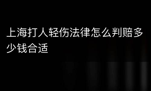 上海打人轻伤法律怎么判赔多少钱合适