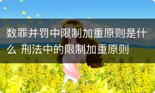 数罪并罚中限制加重原则是什么 刑法中的限制加重原则
