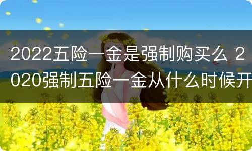 2022五险一金是强制购买么 2020强制五险一金从什么时候开始