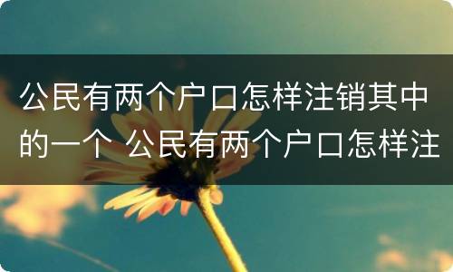 公民有两个户口怎样注销其中的一个 公民有两个户口怎样注销其中的一个公司